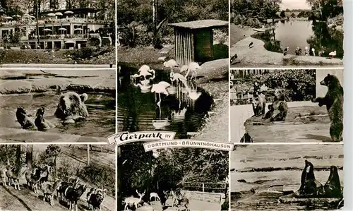 AK / Ansichtskarte  Bruenninghausen_Dortmund Tierpark Teilansichten