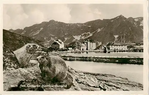 AK / Ansichtskarte  San_Gottardo_St_Gotthard_TI Gotthardhospiz Panorama