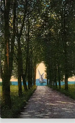 AK / Ansichtskarte  Vidy_Lausanne_Lac_Leman_VD Promenade Allee