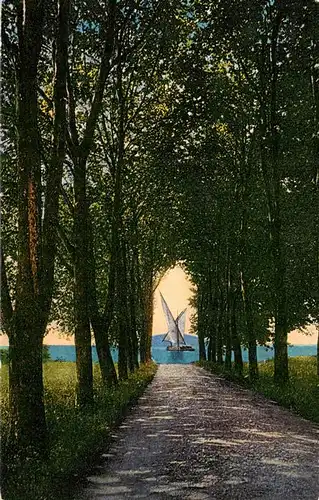 AK / Ansichtskarte  Vidy_Lausanne_Lac_Leman_VD Promenade Allee