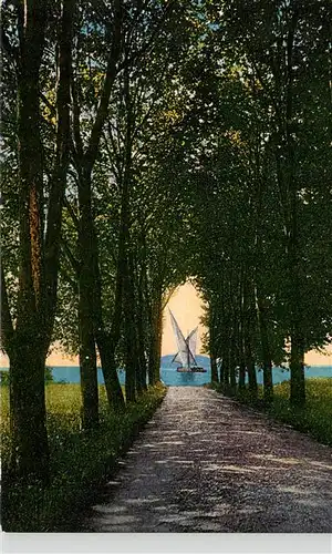 AK / Ansichtskarte  Vidy_Lausanne_Lac_Leman_VD Promenade Allee