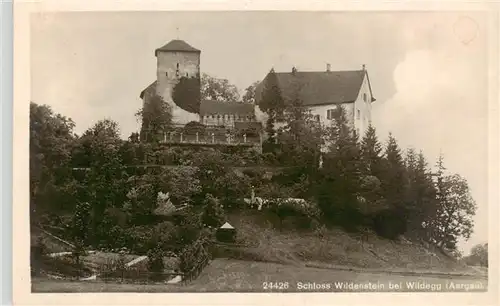 AK / Ansichtskarte  Wildegg_AG Schloss Wildenstein