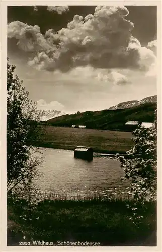 AK / Ansichtskarte  Wildhaus__SG Schoenenbodensee