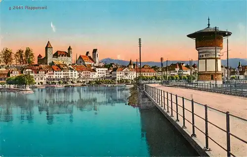 AK / Ansichtskarte  Rapperswil_BE Teilansicht mit Schloss und Wasserturm