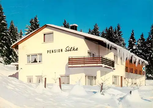 AK / Ansichtskarte  Schoenwald_Schwarzwald Pension Silke