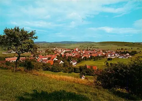 AK / Ansichtskarte  Riedboehringen Panorama