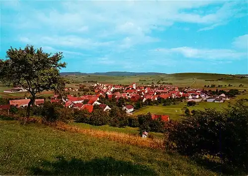 AK / Ansichtskarte  Riedboehringen Panorama