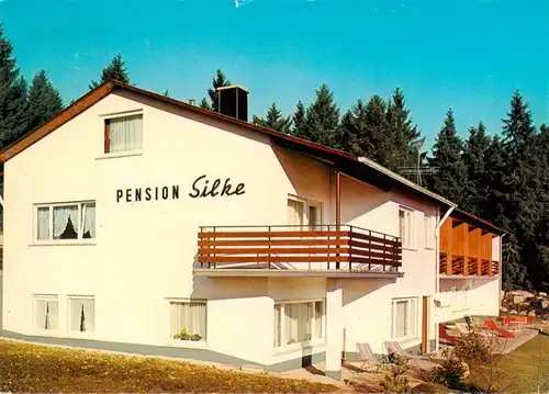 AK / Ansichtskarte 73927044 Schoenwald_Schwarzwald Pension Silke Heilklimatischer Kurort und Wintersportplatz