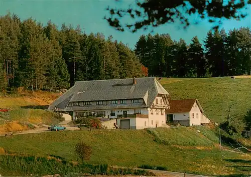 AK / Ansichtskarte 73927089 Gremmelsbach_Triberg Landgasthof Berghof Ausflugsziel