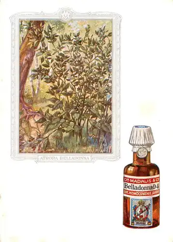 AK / Ansichtskarte 73927110 Medizin Dr. Madaus Belladonna D4 