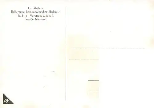 AK / Ansichtskarte  Medizin Dr. Madaus Hooepathischer Heilmittel  Nenatrum album D4