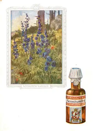 AK / Ansichtskarte 73927116 Medizin Dr. Madaus Hooepathischer Heilmittel  Aconitum D4