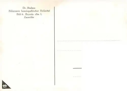 AK / Ansichtskarte 73927120 Medizin Dr. Madaus Hooepathischer Heilmittel Bryonia D3