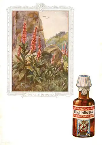 AK / Ansichtskarte 73927121 Medizin Dr. Madaus Hooepathischer Heilmittel Digitalis D4