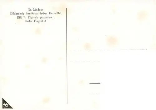 AK / Ansichtskarte 73927121 Medizin Dr. Madaus Hooepathischer Heilmittel Digitalis D4