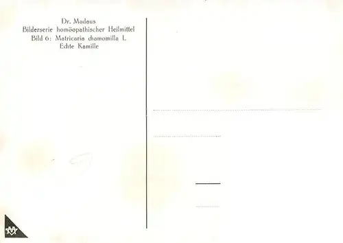 AK / Ansichtskarte 73927122 Medizin Dr. Madaus Hooepathischer Heilmittel Chamomilla D3