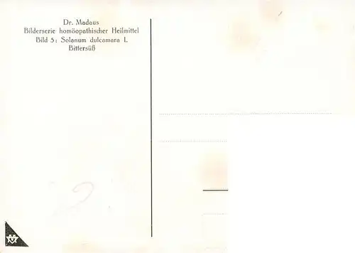 AK / Ansichtskarte 73927123 Medizin Dr. Madaus Hooepathischer Heilmittel Dulcamara D2