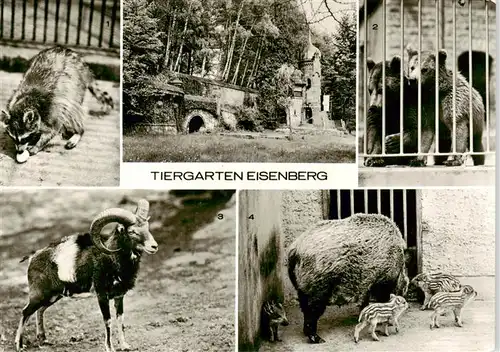 AK / Ansichtskarte 73927252 Eisenberg__Thueringen Tiergarten Eisenberg Waschbaer Braunbaeren Mufflon Wildschweine