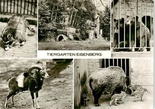 AK / Ansichtskarte  Eisenberg__Thueringen Tiergarten Eisenberg Waschbaer Braunbaeren Mufflon Wildschweine