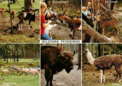 AK / Ansichtskarte 73927254 Pforzheim Wildpark Mufflons Zwergziegen Axishirsch Vogelwiese Wisent Lama
