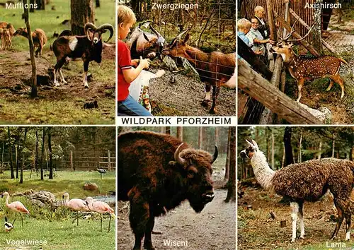 AK / Ansichtskarte  Pforzheim Wildpark Mufflons Zwergziegen Axishirsch Vogelwiese Wisent Lama