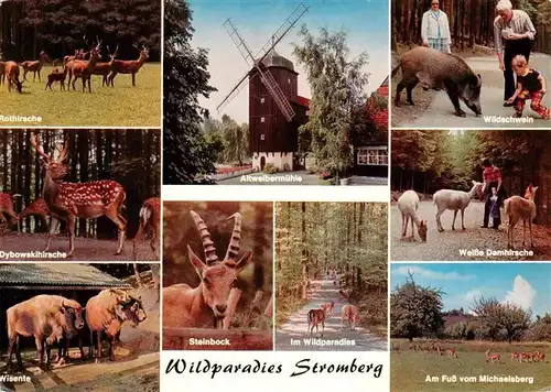 AK / Ansichtskarte  Tripsdrill_Cleebronn Wildparadies Altweibermuehle Rothirsche Dybowskihirsche Wisente Wildschwein Weisse Damhirsche Am Fuss vom Michaelsberg