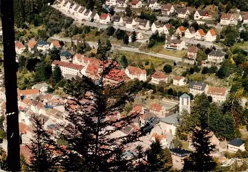 AK / Ansichtskarte  Triberg Panorama