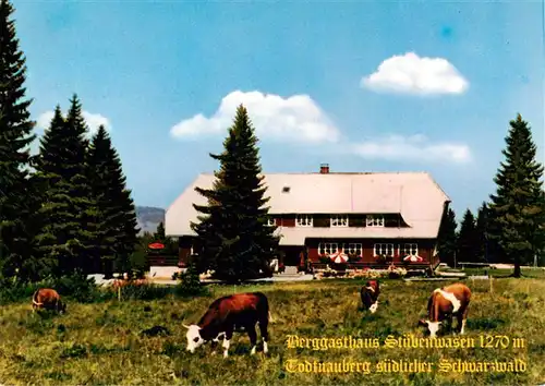 AK / Ansichtskarte 73927418 Todtnauberg Berggasthaus Stuebenwasen