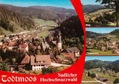 AK / Ansichtskarte  Todtmoos Panorama Weg Todtmoos Hintertodtmoos