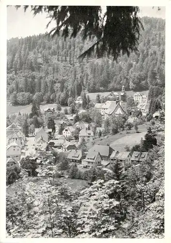 AK / Ansichtskarte  Todtmoos Sonnige Heimat Panorama