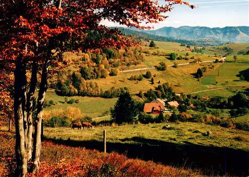 AK / Ansichtskarte  Wiesental_Baden Heubronn Panorama