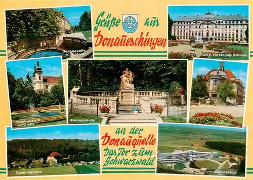 AK / Ansichtskarte  Donaueschingen Donauquelle Schlosspark Donauquelle Schloss Campingplatz Sanatorium Rathaus