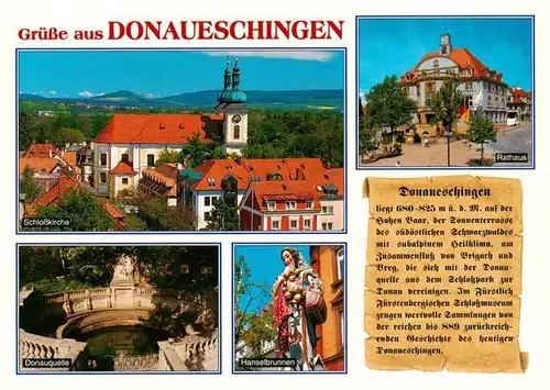 AK / Ansichtskarte 73927529 Donaueschingen Schlosskirche Rathaus Donauquelle Hanselebrunnen