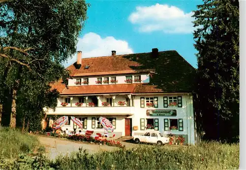 AK / Ansichtskarte  Schweigmatt_Schopfheim Pension Tannenhof