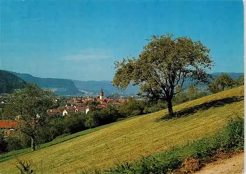 AK / Ansichtskarte  Haslach_Kinzigtal Panorama