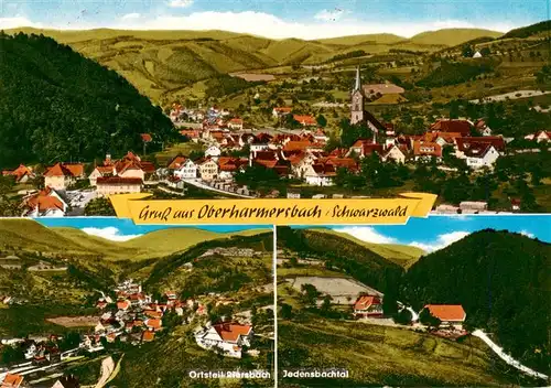 AK / Ansichtskarte 73927678 Oberharmersbach Panorama OT Diersbach Jedensbachtal
