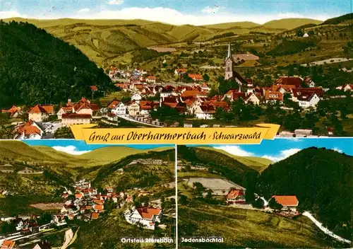 AK / Ansichtskarte  Oberharmersbach Panorama OT Diersbach Jedensbachtal