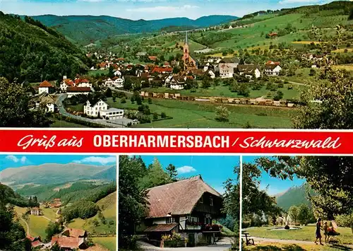 AK / Ansichtskarte 73927682 Oberharmersbach Panorama Park Schwarzwaldhaus
