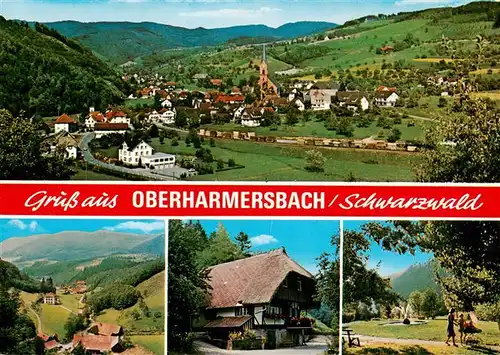 AK / Ansichtskarte  Oberharmersbach Panorama Park Schwarzwaldhaus