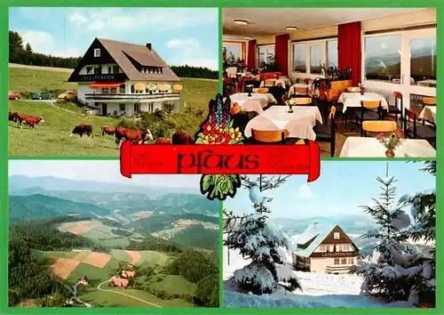 AK / Ansichtskarte 73927691 Muehlenbach_Wolfach_Kinzigtal_Baden Cafe Pension Pfaus Gaststube Panorama 