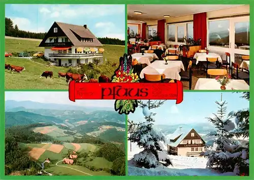 AK / Ansichtskarte  Muehlenbach_Wolfach_Kinzigtal_Baden Cafe Pension Pfaus Gaststube Panorama 