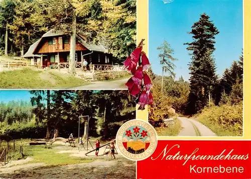 AK / Ansichtskarte 73927722 Gengenbach Naturfreundehaus Kornebene Spielplatz Waldweg