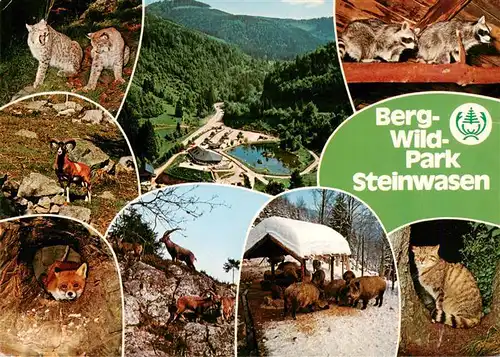 AK / Ansichtskarte 73927767 Todtnau Berg Wildpark Steinwasen Teilansichten