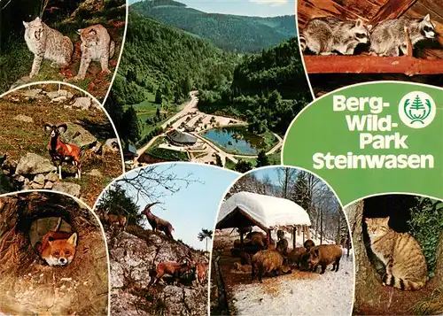 AK / Ansichtskarte  Todtnau Berg Wildpark Steinwasen Teilansichten