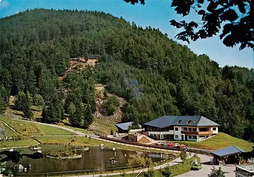 AK / Ansichtskarte  Todtnau Berg Wildpark Steinwasen 