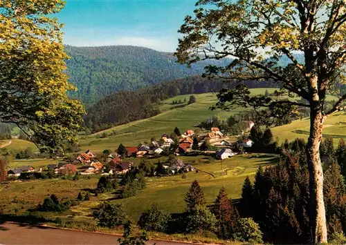 AK / Ansichtskarte  Weg_Todtmoos Panorama