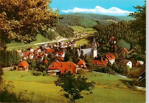 AK / Ansichtskarte  Todtmoos Panorama