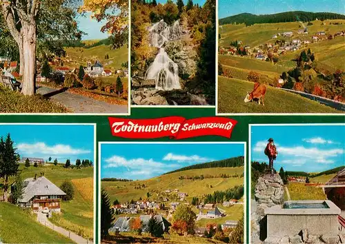AK / Ansichtskarte 73927855 Todtnauberg Panorama Wasserfall Schwarzwaldhaus Brunnen