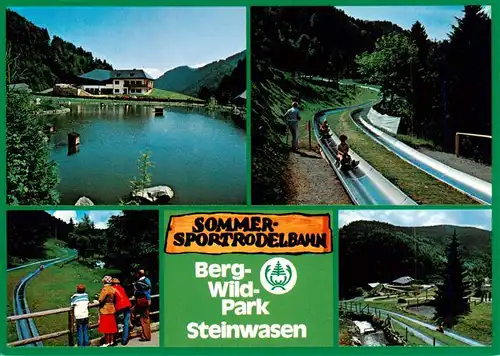 AK / Ansichtskarte  Todtnau Berg Wildpark Steinwasen Seepartie Sommerrodelbahn