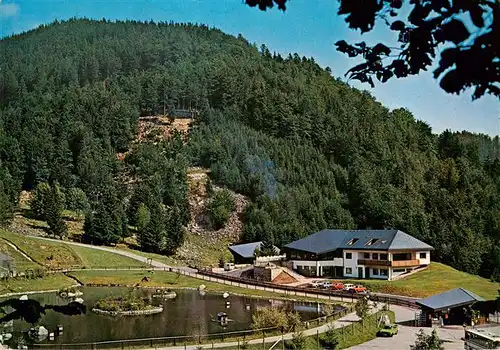 AK / Ansichtskarte  Todtnau Berg Wild Park Steinwasen